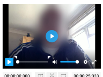 Facial bluring